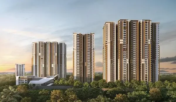 Featured Image of Dsr The Address